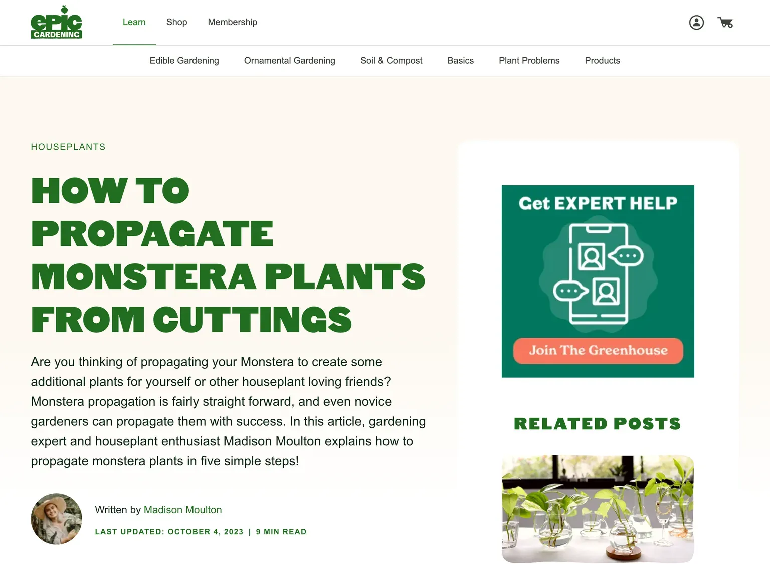 Epic Gardening의 몬스테라 삽목 번식 가이드 화면. 물컵에서 뿌리를 내린 실제 몬스테라 삽수 사진이 함께 실려 있다.